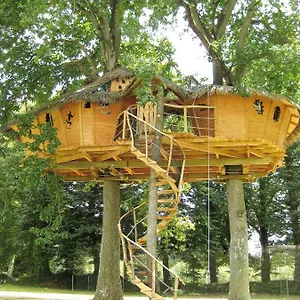 Insolite Dans Les Arbres Les Ormes, Epiniac